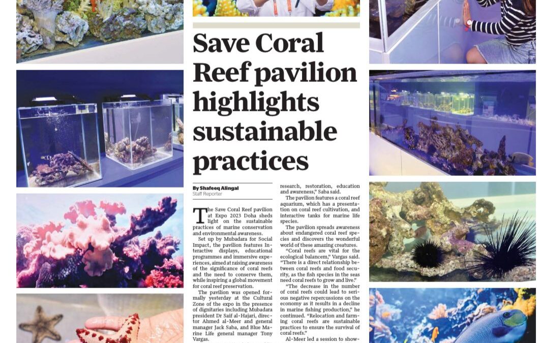 Save The Corals