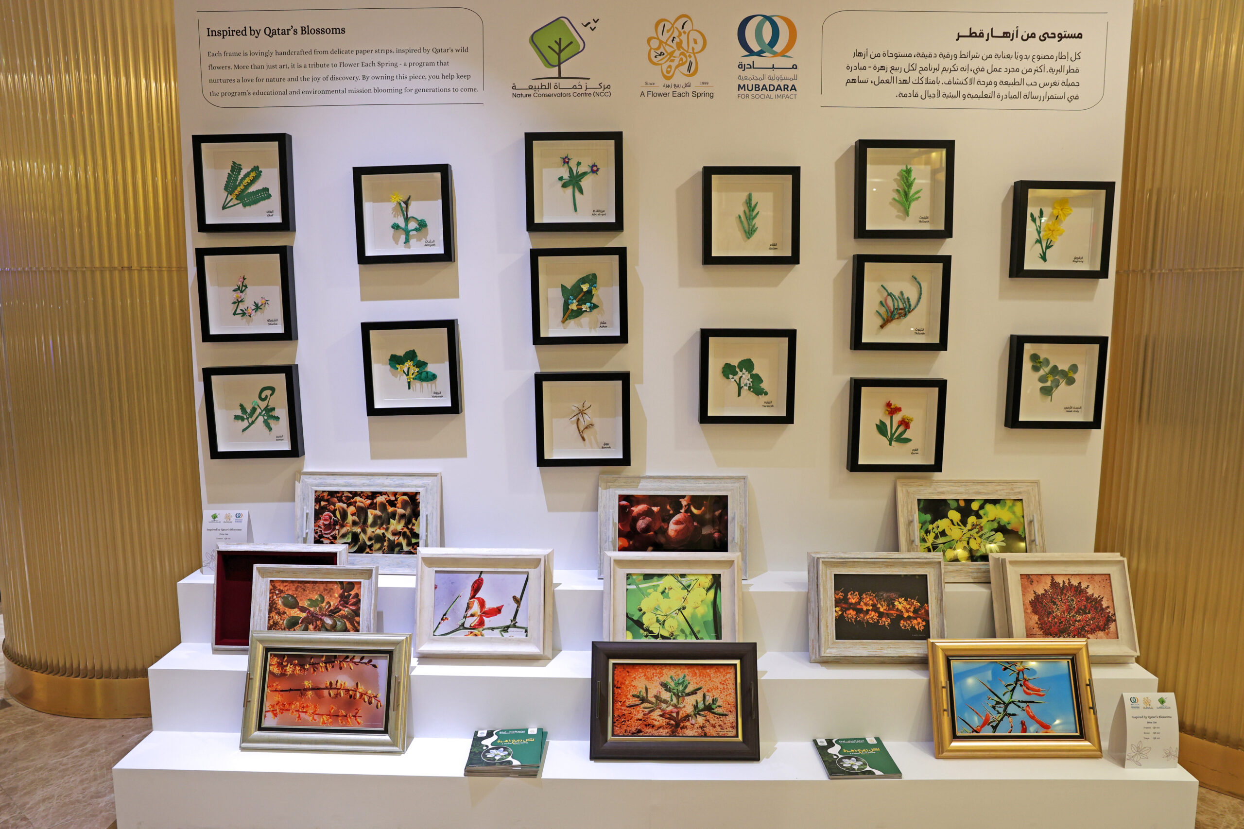 IMG_3766- background